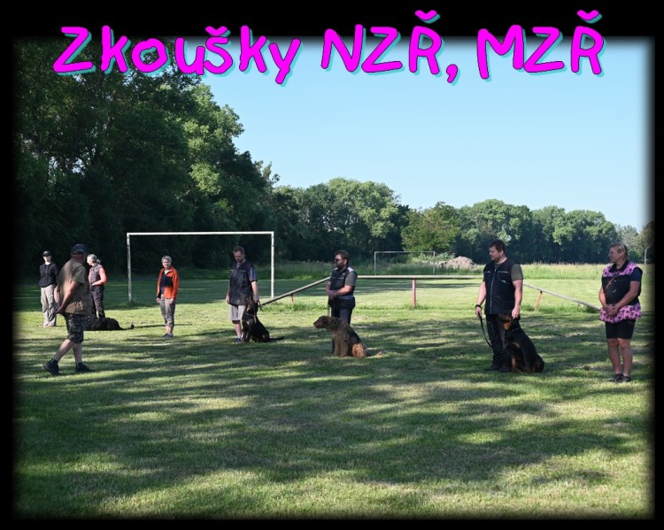 zkousky.jpg